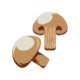 Funghi secchi