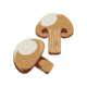 FUNGHI SECCHI